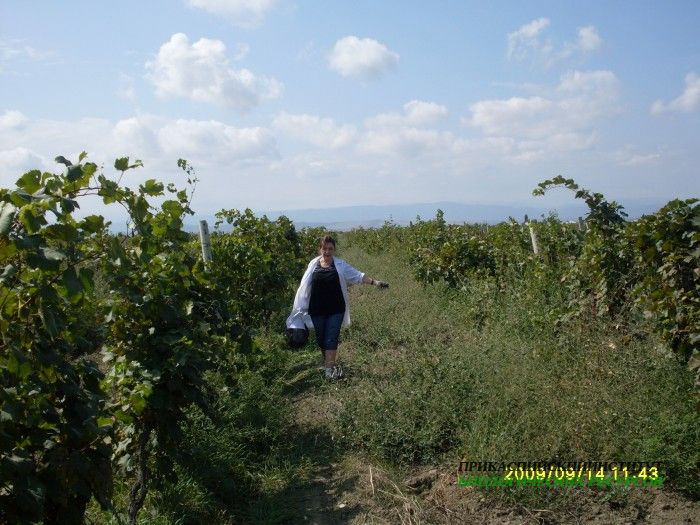 лаб.биохимии и биотехнологии_экспедиция