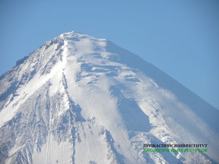 Снежная гора