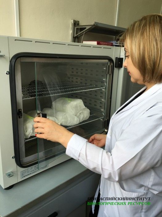 лаб.биохимии и биотехнологии_подготовка к опытам