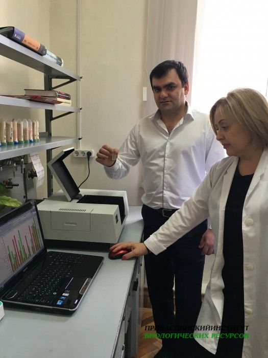 лаб.биохимии и биотехнологии_эксперимент