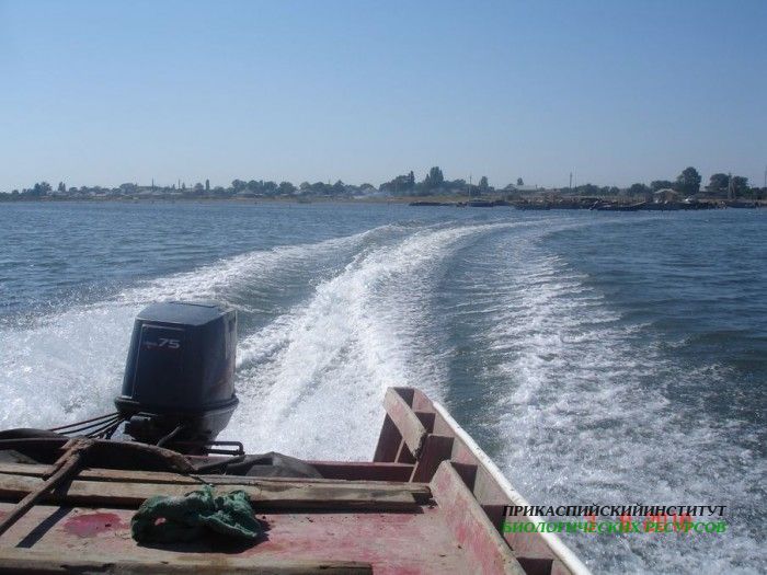 Выход в море