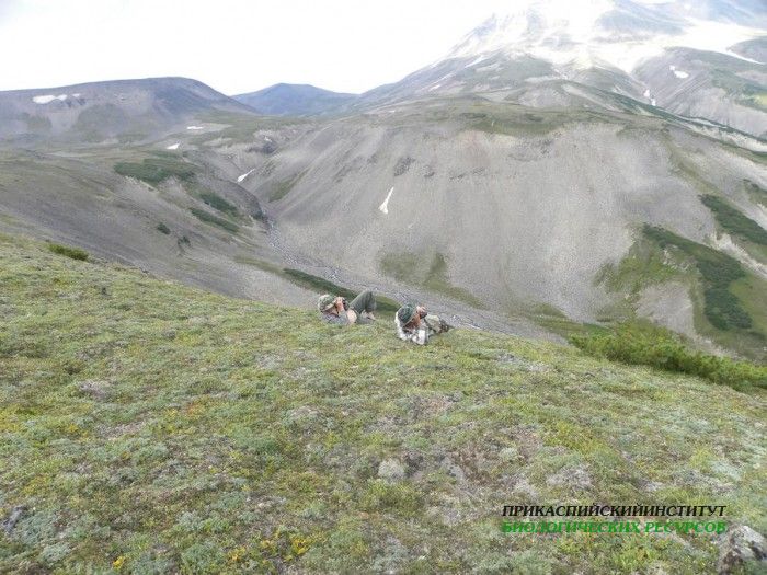 Участники экспедиции 2013