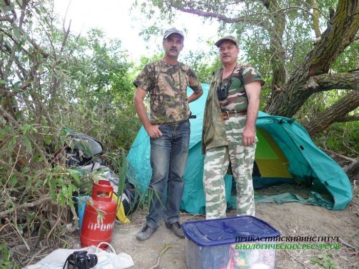 У палатки, озеро Аграхан