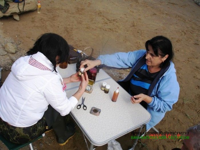 Фиксация проб фитопланктона