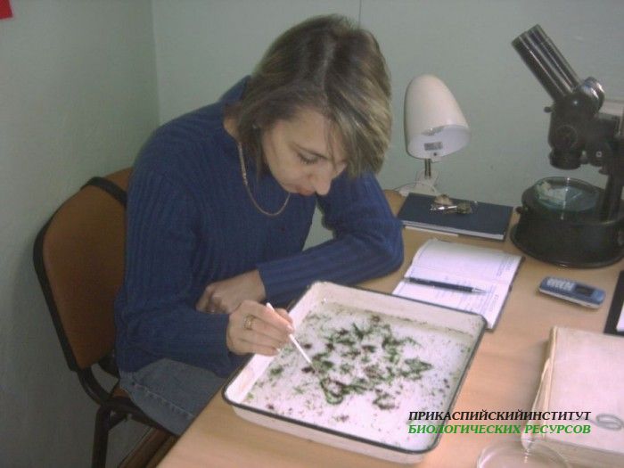 Обработка проб