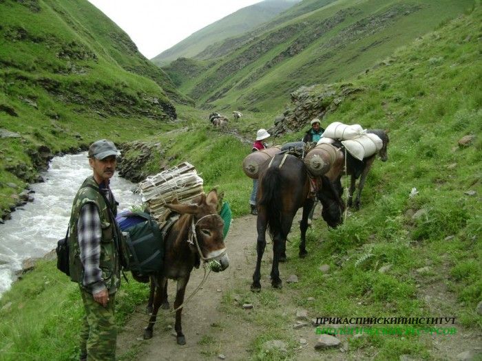 Экспедиция 2013