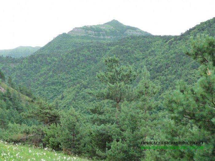 40.панорама.21.7.09тлярош