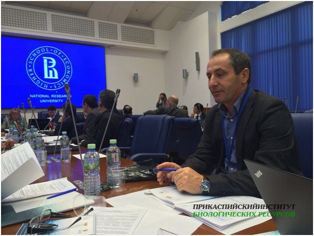 Доклад с.н.с., Гуруева М.А.