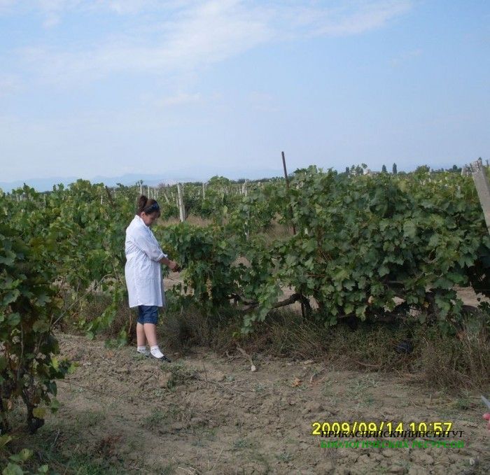 Экспедиция лаборатории