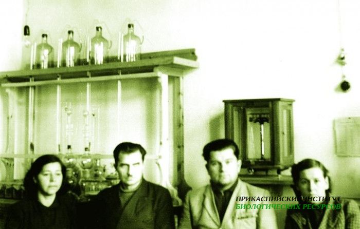 Химическая лаборатория отдела почвоведения