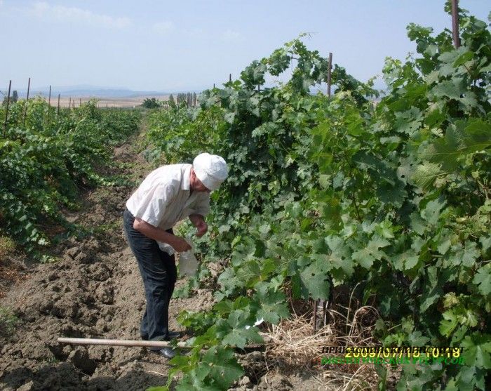 Экспедиция лаборатории