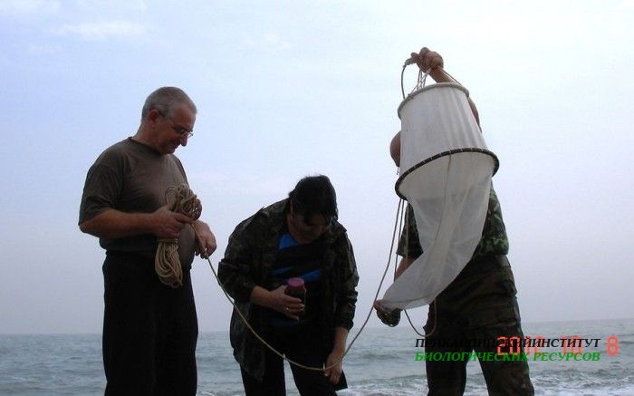 Отбор проб по фитопланктону