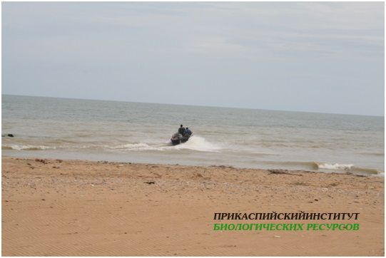 Выход в море для отбора проб