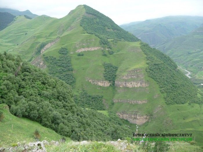 83.панорама.25.7.09тлярош