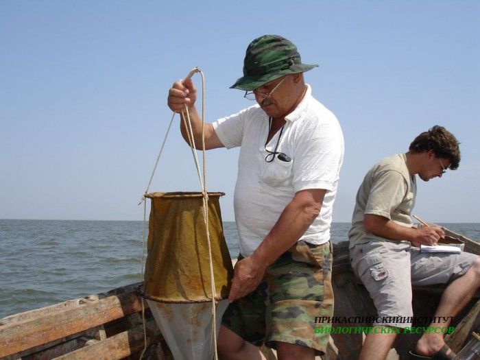Совместная экспедиция с коллегами из ЮНЦ (Ростов-на-Дону)