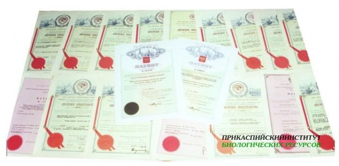 Инновационные разработки лаборатории биохимии и биотехнологии