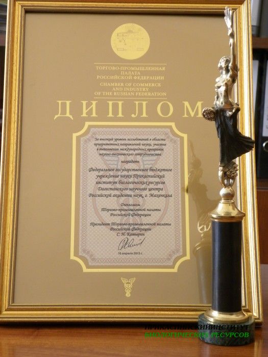 диплом тпп рф и статуэтка фортуна