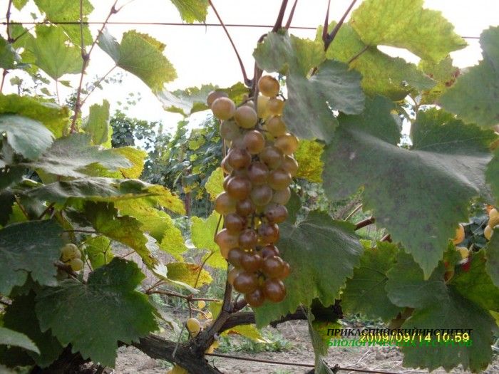 Экспедиция лаборатории