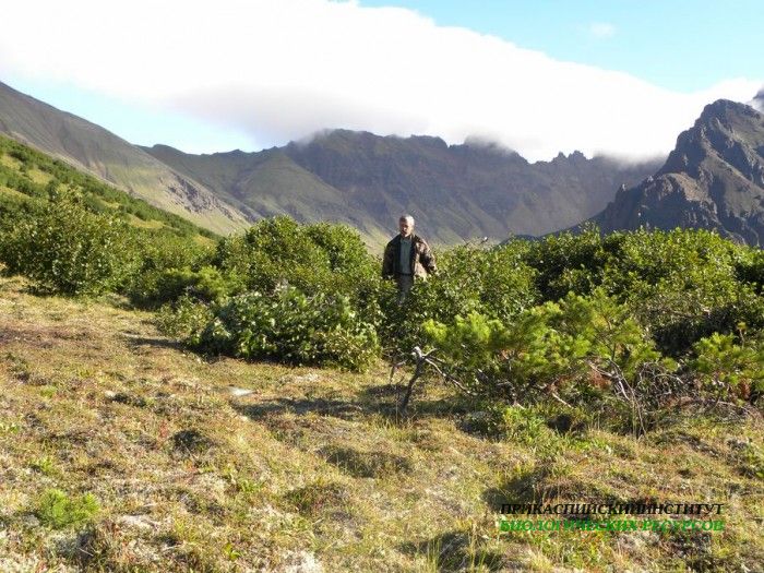 В горах Дагестана