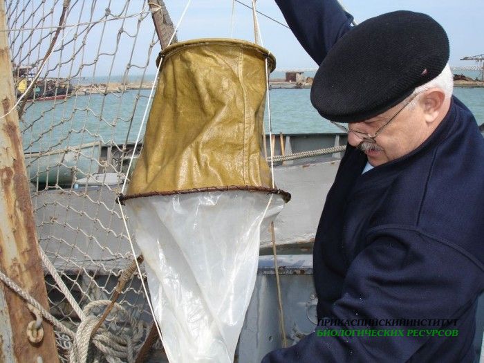 Пробы по зоопланктону