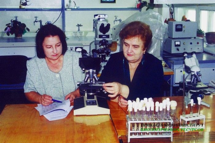 Микробиологические исследования