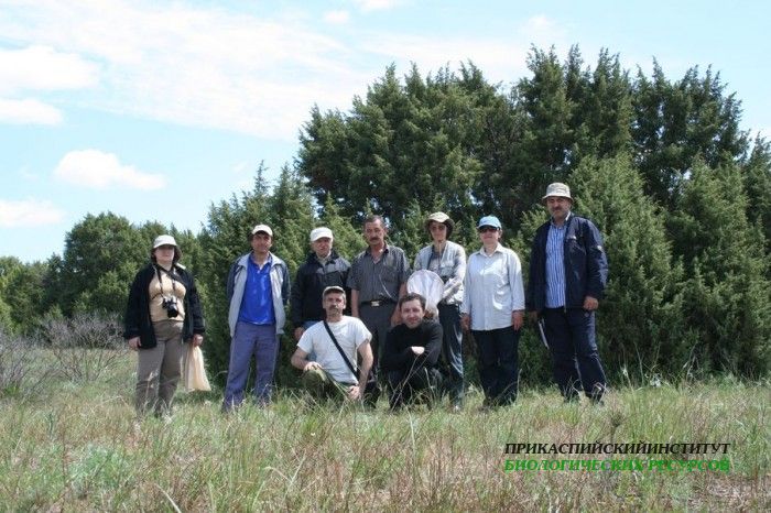 Сосновка 2009 май