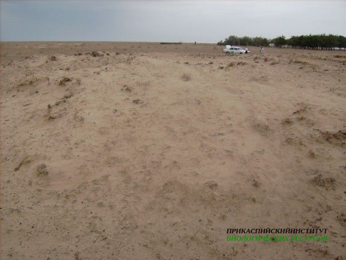 1кбсиюль2009-копия