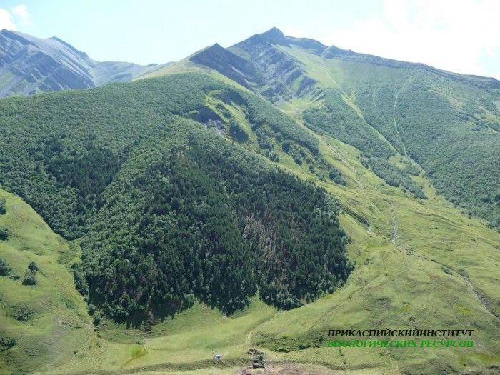 01.панорама.гочоб.22.08.2011