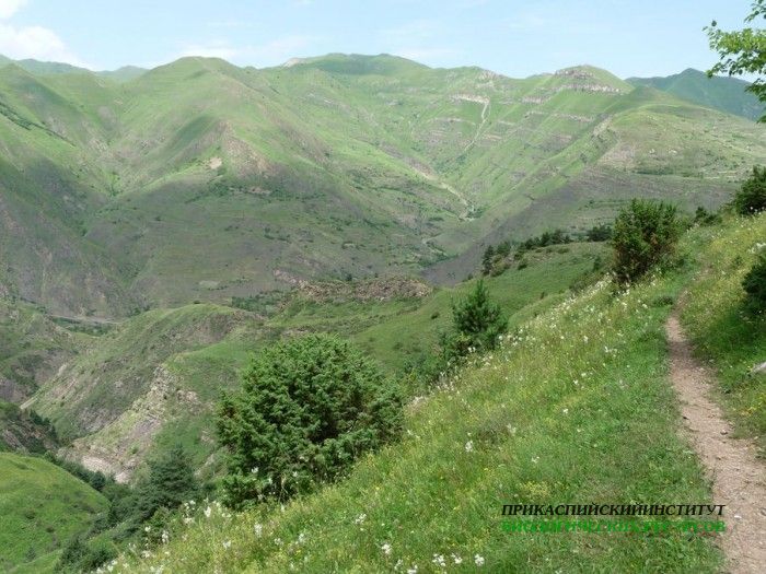 22.панорама.21.7.09тлярош