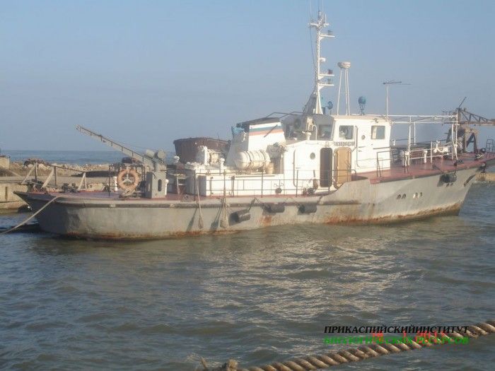 Судно "Цада"