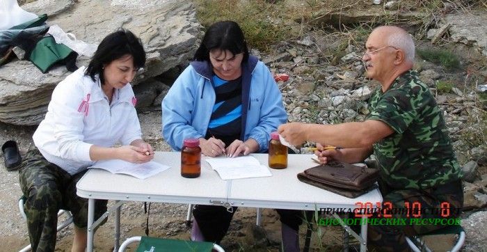 Побережье Манаскента (экспедиция)