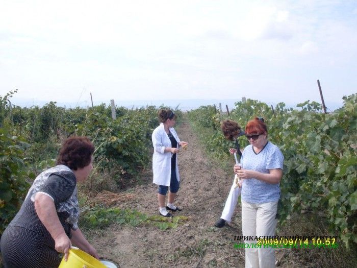 Экспедиция лаборатории