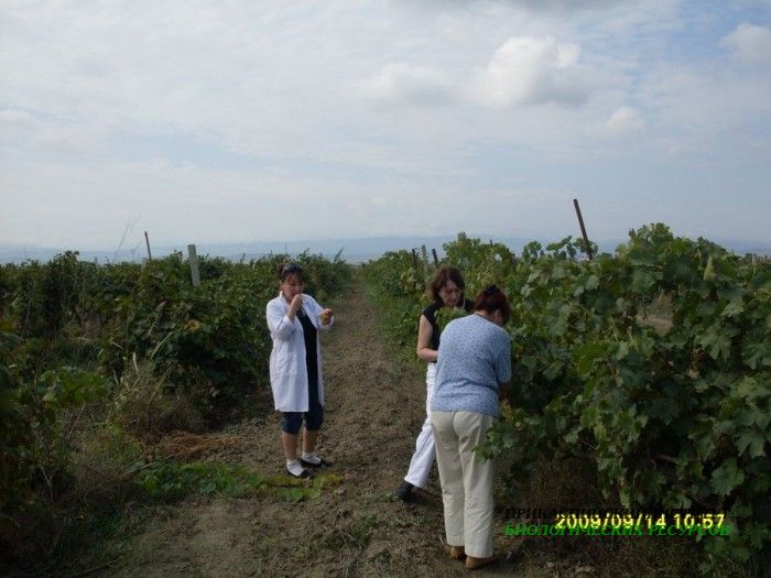 Экспедиция лаборатории