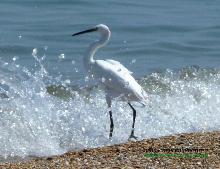 23.м.б.ц.уморя