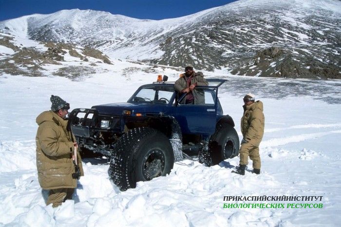 Экспедиция зимой