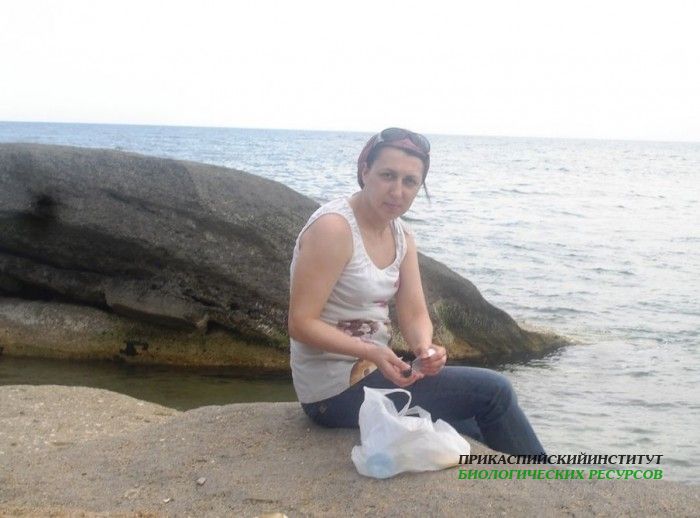 Подготовка материала