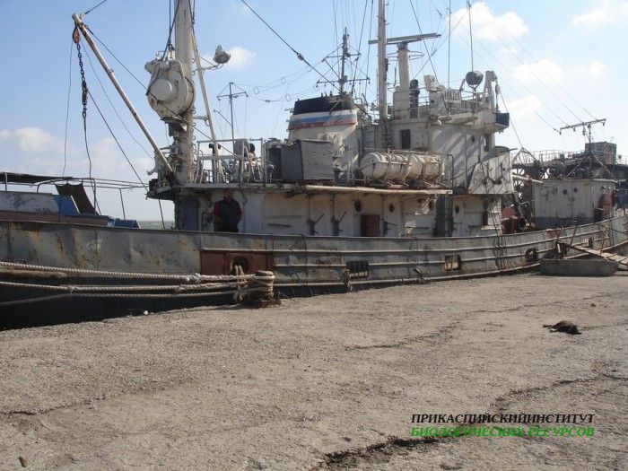 Судно "Цада"