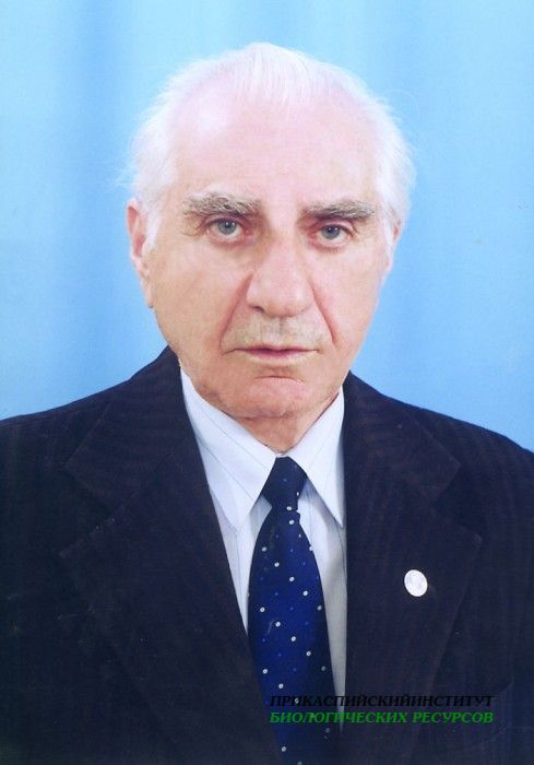 А.Б. Салманов