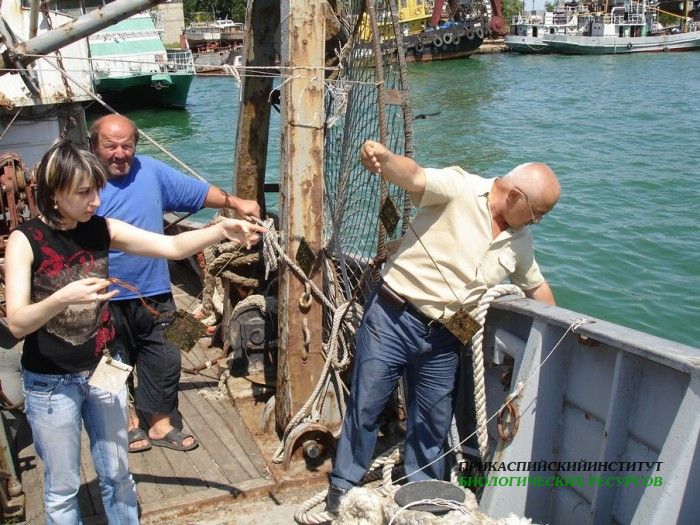 Установка экспериментальных пластин