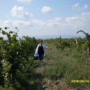 лаб.биохимии и биотехнологии_экспедиция