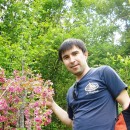 Местная флора, Гуниб