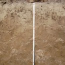 Почвенный профиль