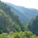 23.панорама.тлярата.17-20.07.12