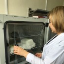 лаб.биохимии и биотехнологии_подготовка к опытам