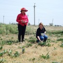 Лаборатория экологической биофизики