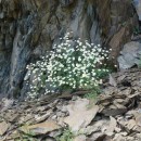 15.панорама.тлярата.17-20.07.12