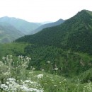 111.панорама.25.7.09тлярош