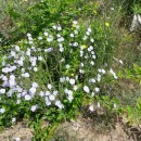 2.лен.турали16.05.10