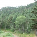 22.пейзаж.тлярош.15.08.10