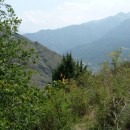 50.пейзаж.тлярош.17.08.10